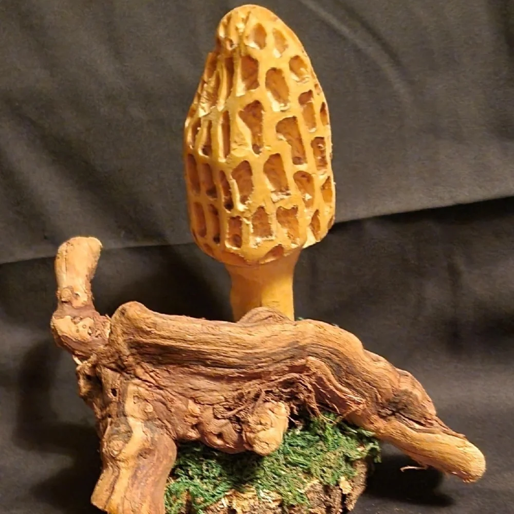 Rustic Morel Mushroom Wood Burned Sculpture